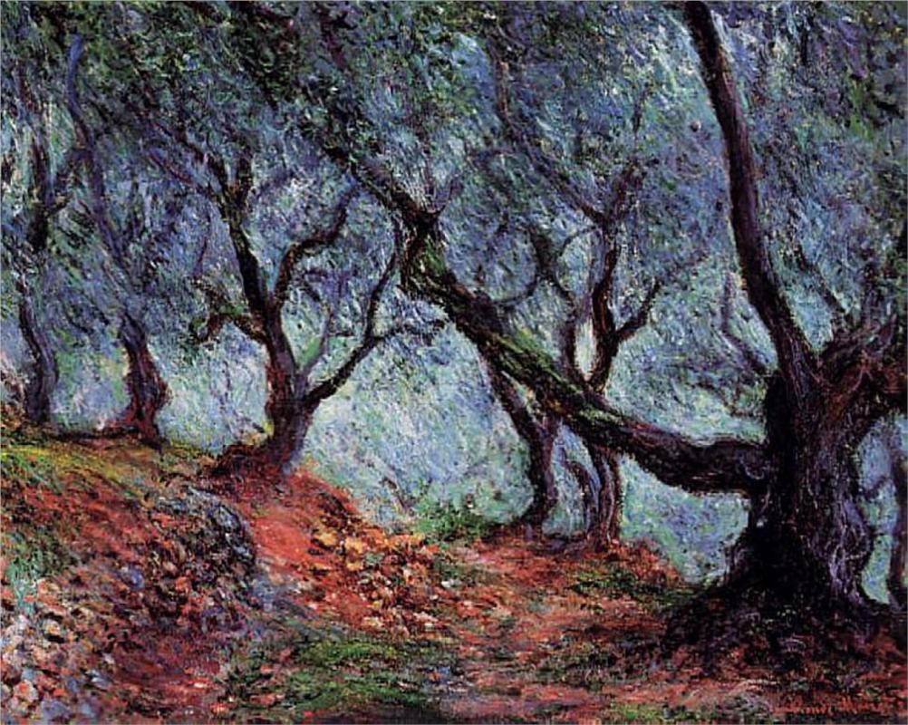 Grove of Olive Trees in Bordighera - Claude Monet Paintings
